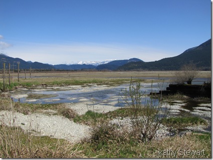 Log bay - April 15, 2011