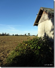 Old Building on Clatsop Butte.  Portland, Oregon.  October 1, 2012.