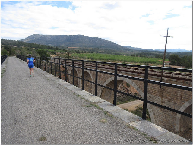 otro puente, bueno 2 paralelos