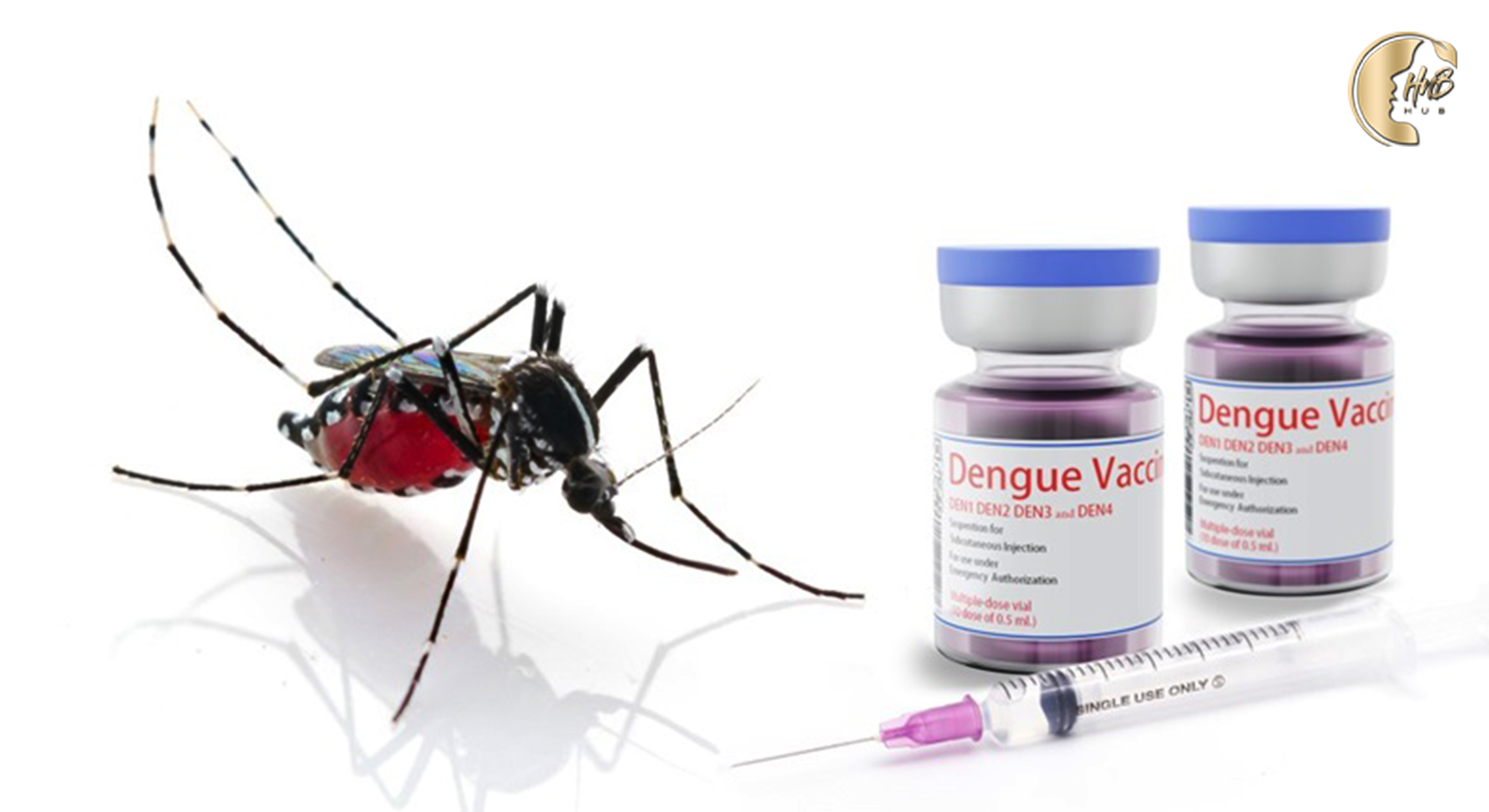 Symptoms for Dengue Fever । Home Remedies for Dengue Fever । dengue fever vaccine । dengue fever treatment । Health n Beauty HuB