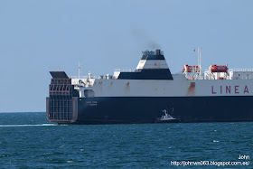 suar-vigo