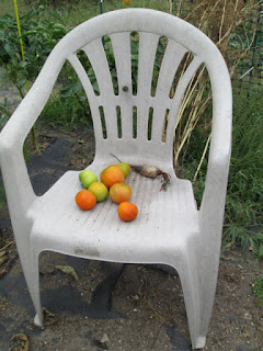 Plastic white chair with tomatoes sitting on it