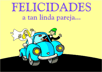 feliz bodac (9)