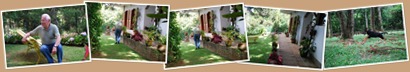 View album