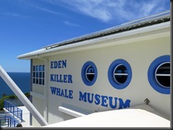 171122 111 Eden Killer Whale Museum