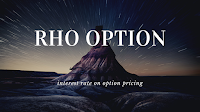 Rho option