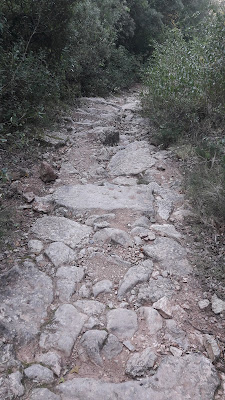 LA COGULLA - EL TOSSAL GROS Figuerola del Camp -(Alt Camp) -  Montblanc - (Conca de Barberà); camí de Prenafeta Vella