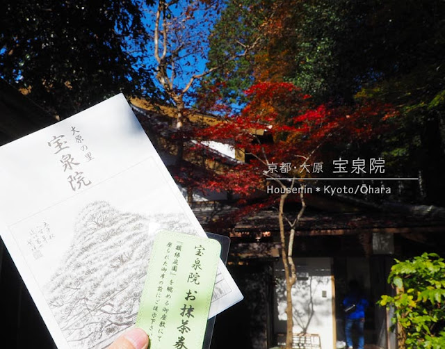 京都 宝泉院の拝観料は800円