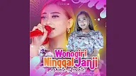 Lirik Wonogiri Ninggal Janji - Shinta Arsinta 