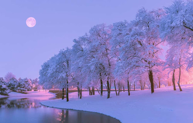 free,wallpapers,winter,snow,nature,