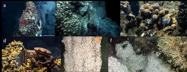 A Verifiable Odyssey of Aqueous Vents