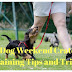 How to Crate Train a Dog Correctly