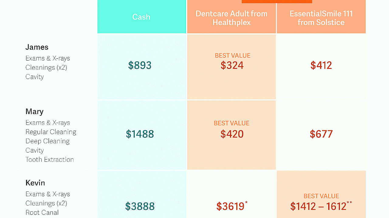 Dog Insurance Prices - Dog Choices