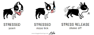 dogs in stress