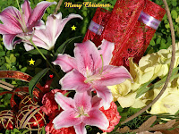 Desktop Christmas Flower Wallpapers