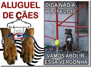 contracaesaluguel03