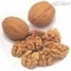 walnut