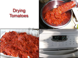 drying tomato skins