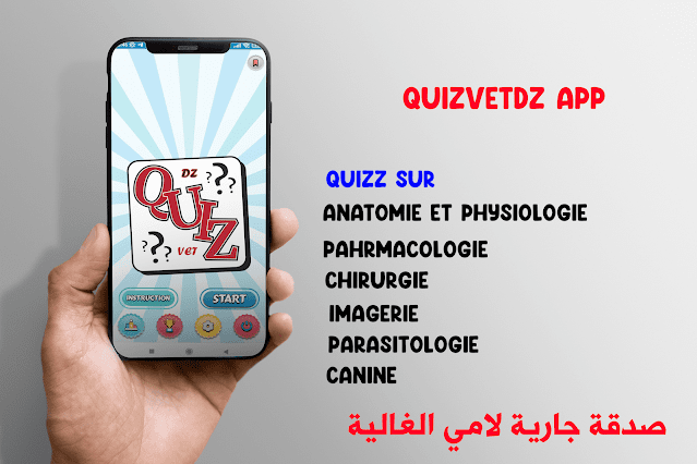 QuizVetDZ