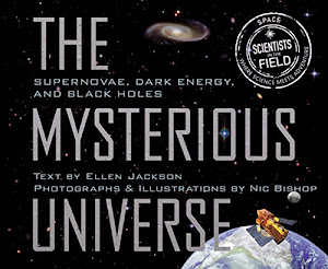 Mysterious Universe: Supernovae, Dark Energy, and Black Holes (Scientists in the Field Series)