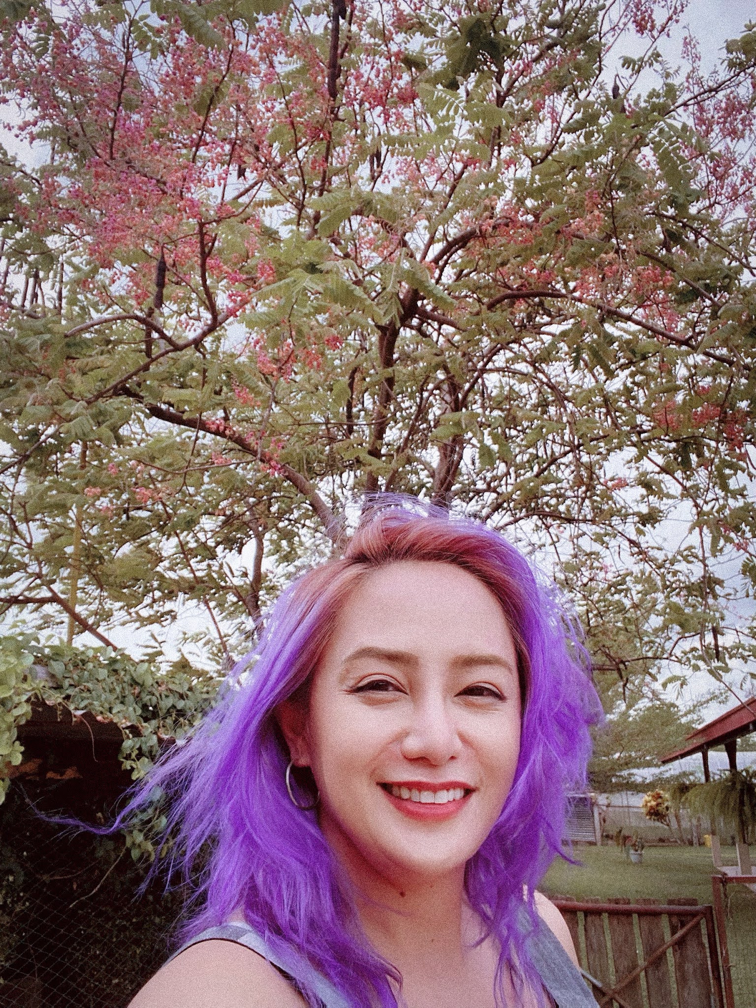 Palawan Cherry Blossoms, Philippines