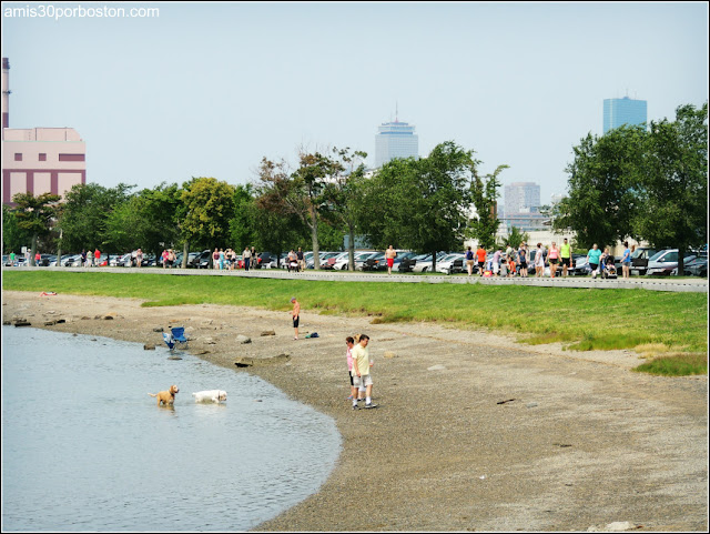 Castle Island & Pleasure Bay