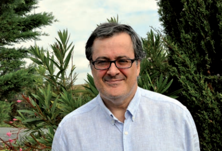 Fernando Mikelarena