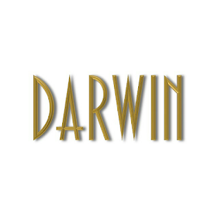 Darwin International - Your top luxury travel choice