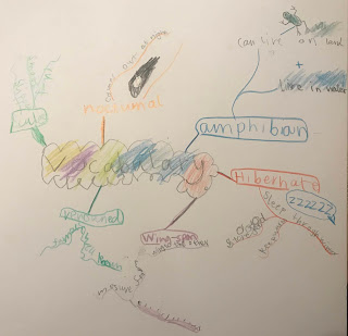 My Child Loves MindMapping