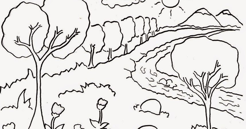 20 Aneka Sketsa Gambar Mewarnai