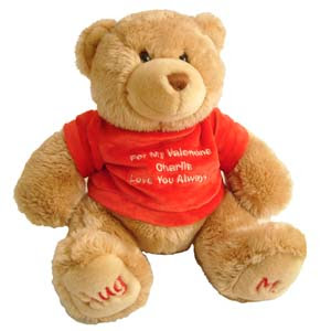valentine's day bear