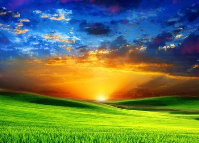 Free Desktops Backgrounds on Free Nature Desktop Backgrounds  Download Nature Background Wallpapers