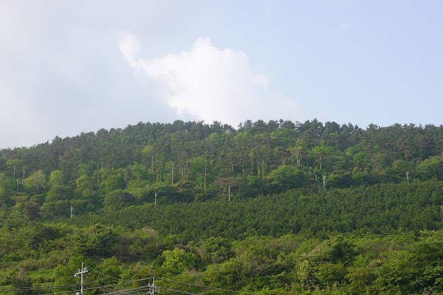 鳥取県西伯郡大山町長田