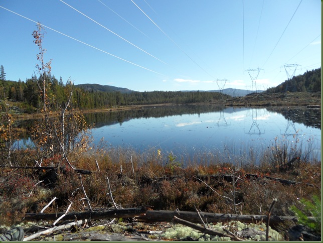08.10 Lomtjern og Todalen 003