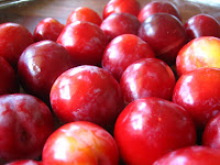 Plum Betty recipes cure for cancer