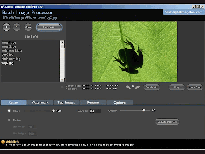 Digital Image Tool , image resizer softwares , image editing software, freewares, windows softwares, image watermarking, image renamer , file renaming , batch image cropping, multi functional image editing software