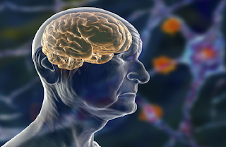 A revolution in neurology: Scientists successfully deliver drugs to the brain using smart technology