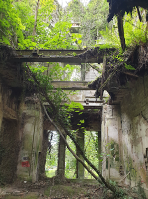 Inside of the ruin with front windows in view and missing floors