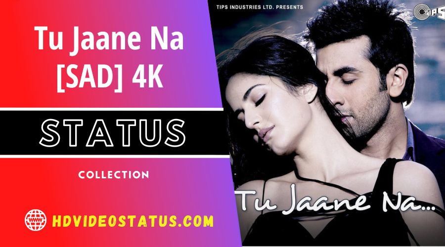 Tu Jaane Na - SAD Love Status Video Download - hdvideostatus.com