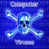 What Are Computer Viruses?...