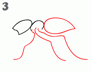 طريقة رسم النمل