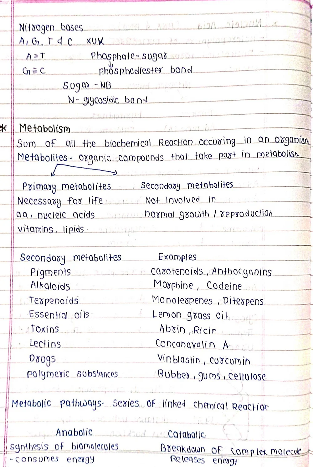 Biomolecules - Biology Short Notes 📚