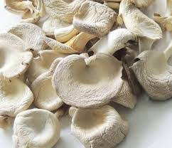Dried Mushroom Supplier In Andorra