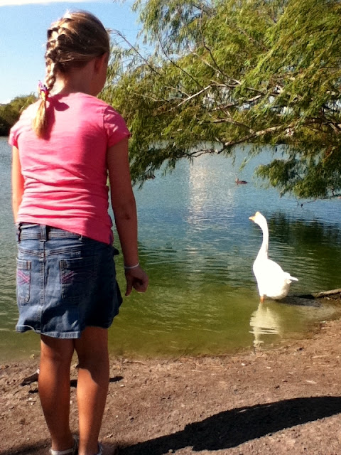 Feeding the ducks at the park image 2