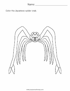Japanese spider crab worksheet
