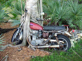 Overgrown Motorcycle