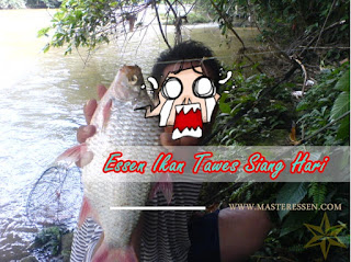 Essen Ikan Tawes Khusus Siang Hari