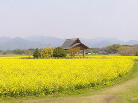 宮崎県・西都原古墳群　天皇皇后両陛下・お手植えの木