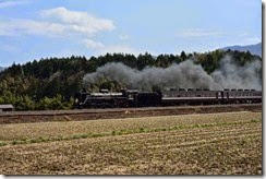 DSC_5813-1