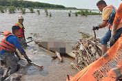 Penemuan Mayat Tanpa Identitas Gegerkan Warga Pesisir Pantai Utara Karawang 